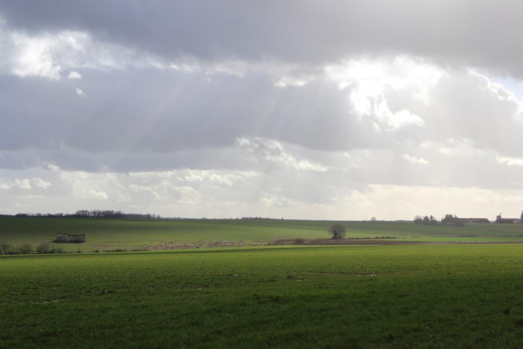 Gites A L'Ombre Des Chenes Châteauvieux Exteriör bild