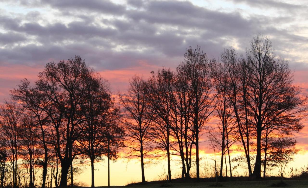Gites A L'Ombre Des Chenes Châteauvieux Exteriör bild
